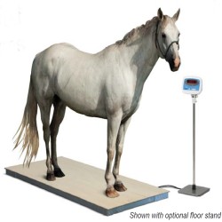 salter brecknell ps3000 horse scale