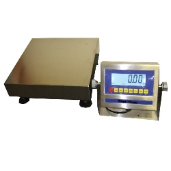 weigh master scale