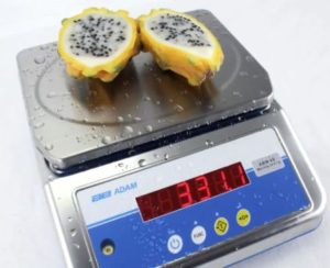 stainless steel portion weigher