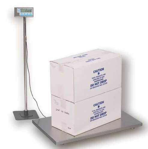 Salter PS500-42S Digital Vet Clinic Scale 500 lb.