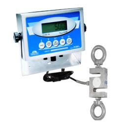 digital hanging scale for weighing fish caught in ocean