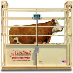 Cardinal SLS Single Animal Livestock Scale