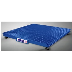 Inscale Heavy Duty All-Weather Floor Scale