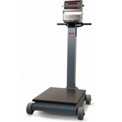 intrinsically safe portable scale with 1000 lb capacity