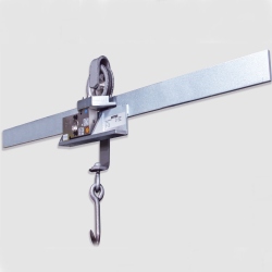 Rice Lake MS202 Permanent Monorail Scale