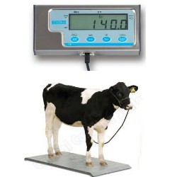 salter brecknell ps2000 portable cattle scale