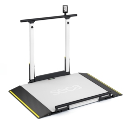 Seca XLine Hold ADA Compliant Wheelchair Scale