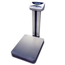 CAS DL Affordable Bench Scales