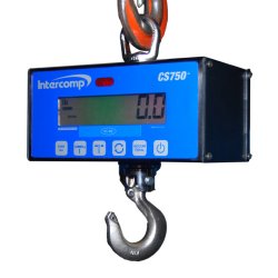 crane scale with lcd display