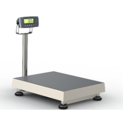 Rinstrum XG Stainless Steel Scale