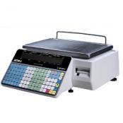 ishida-astra-ii-price-computing-scale-printer