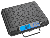 GP 100 Bench Scales